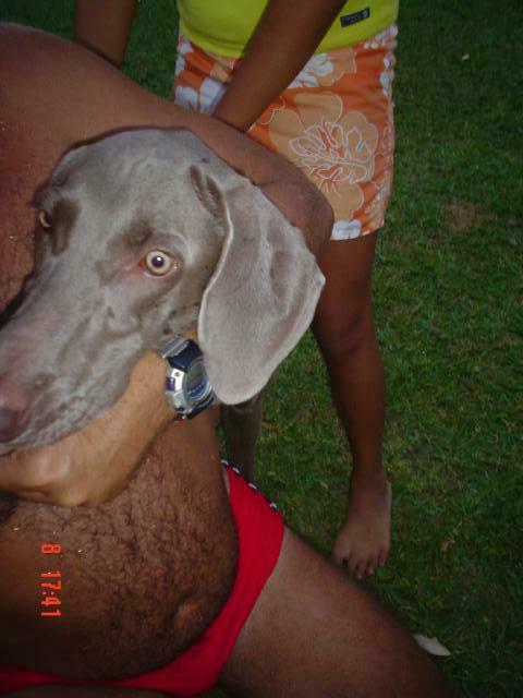 DSC00053