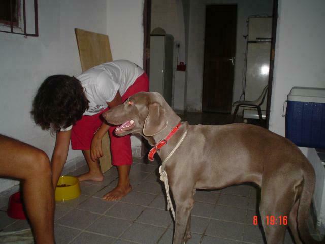 DSC00062