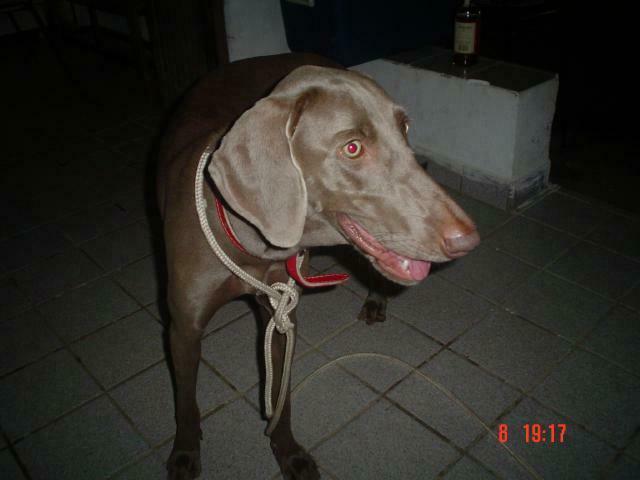 DSC00065
