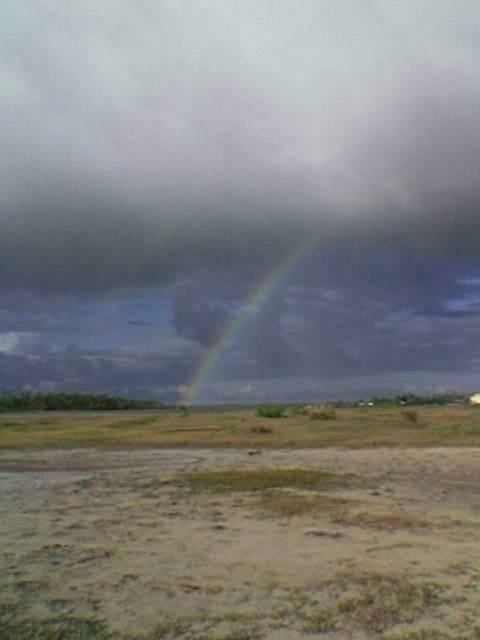 Imagem(033)
