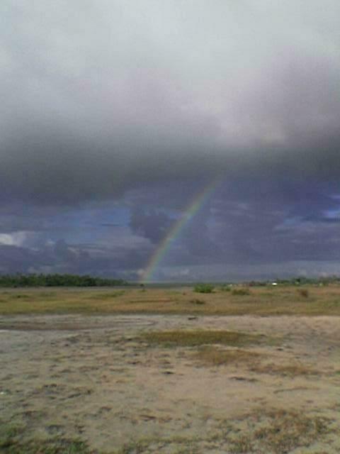 Imagem(034)