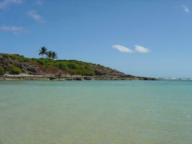 DSC00010