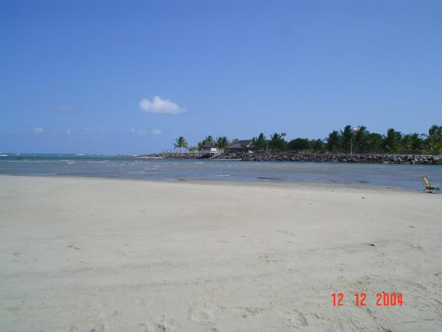 DSC05875
