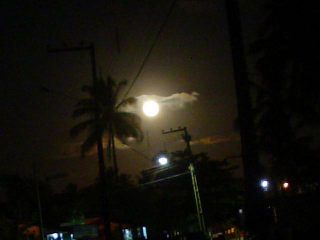 DSC06357