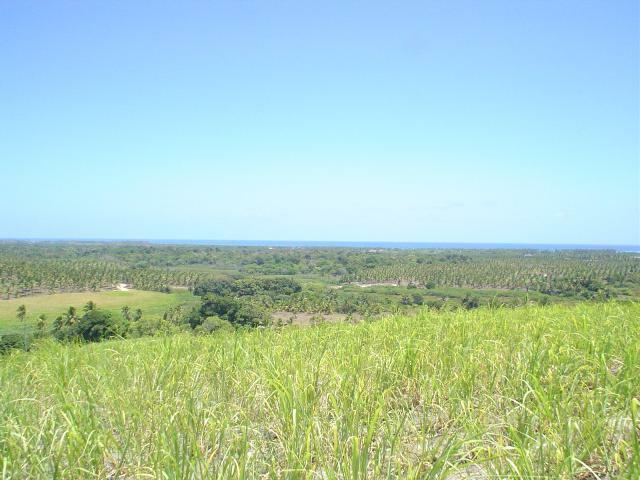 DSC06401