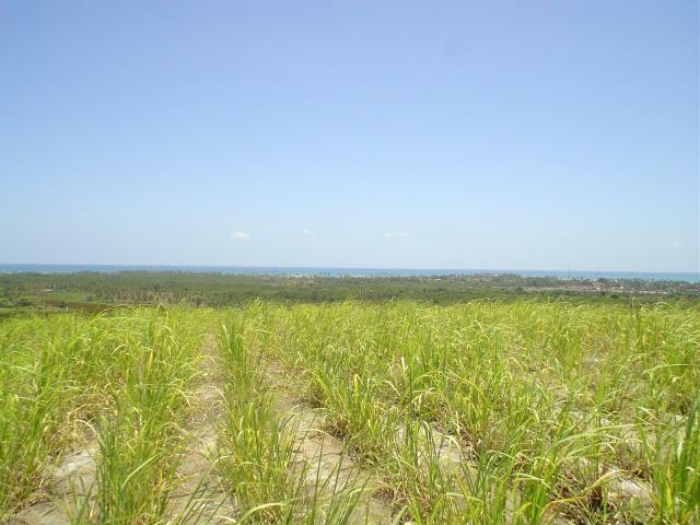 DSC06402