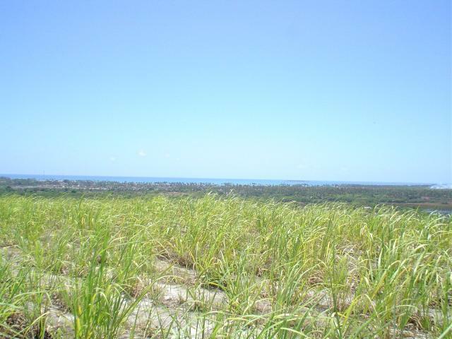 DSC06403