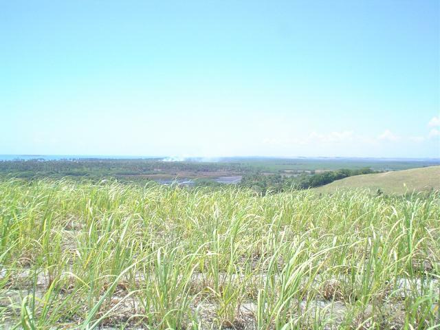 DSC06404