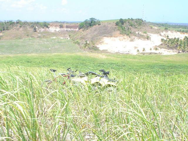 DSC06409
