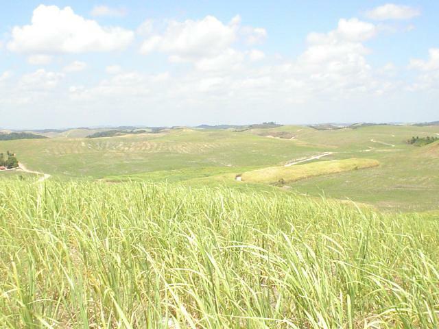 DSC06410