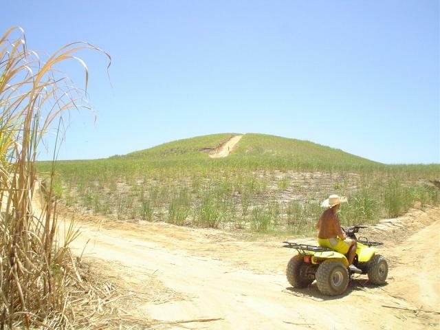 DSC06411