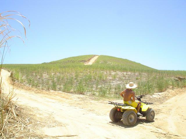 DSC06412