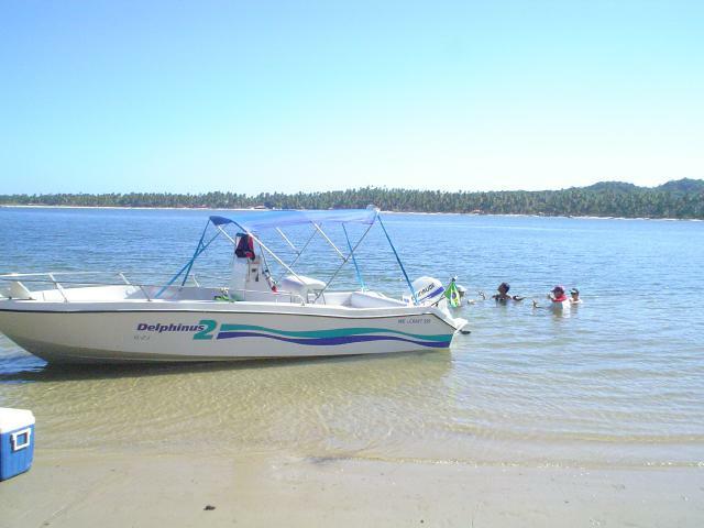 DSC06416