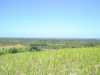 DSC06401