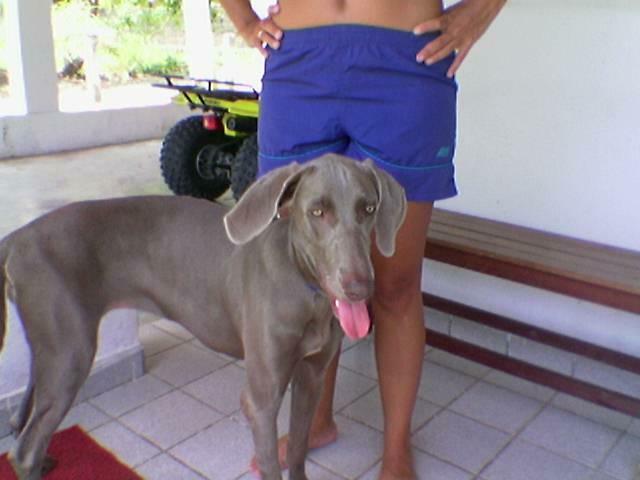 Imagem(172)