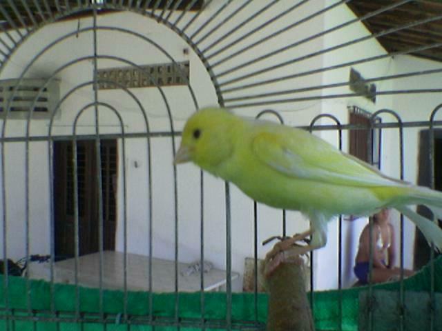 Imagem(175)