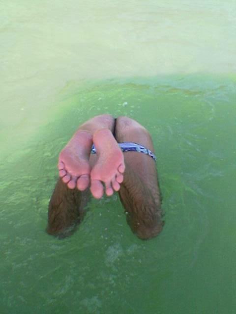 Imagem(179)