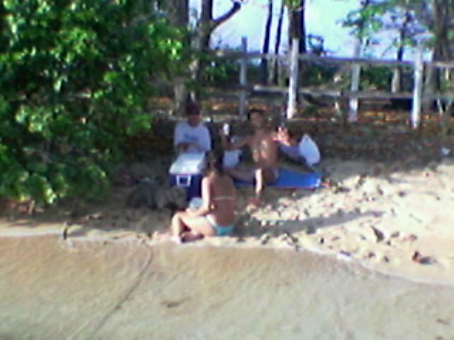 Imagem(191)