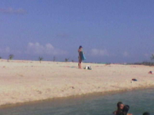 Imagem(215)