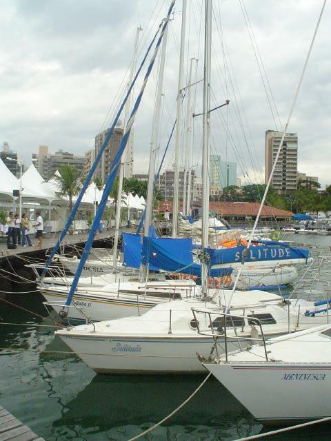 DSC06787