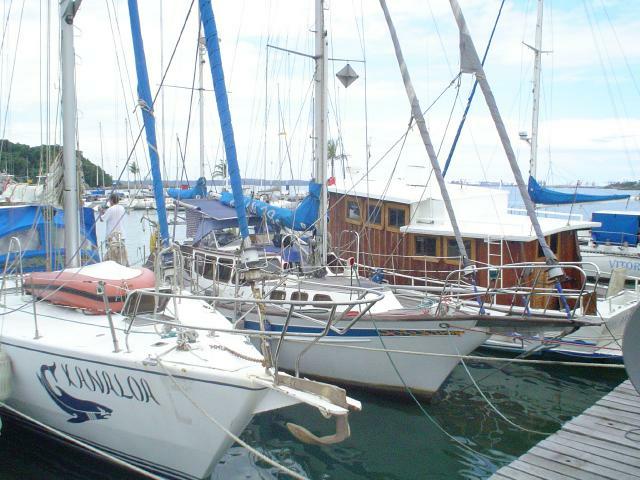 DSC06788