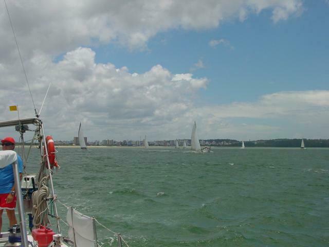 DSC08806