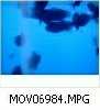 MOV06984