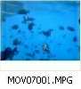 MOV07001
