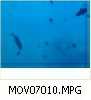 MOV07010