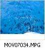MOV07034
