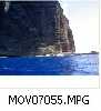 MOV07055