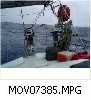 MOV07385