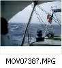 MOV07387