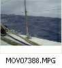 MOV07388