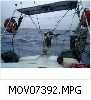 MOV07392