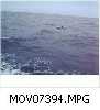 MOV07394