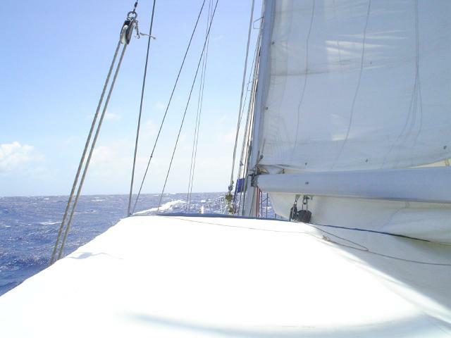 DSC06831