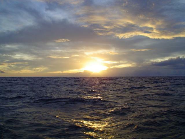 DSC06865