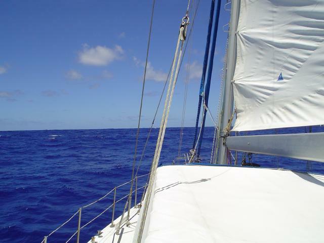 DSC06912