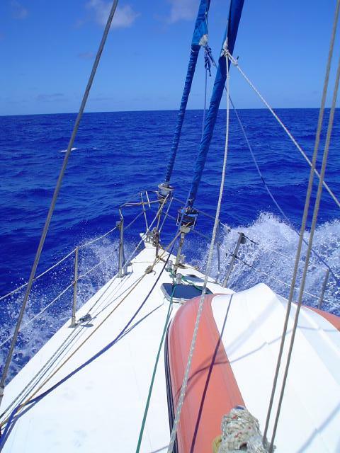 DSC06914