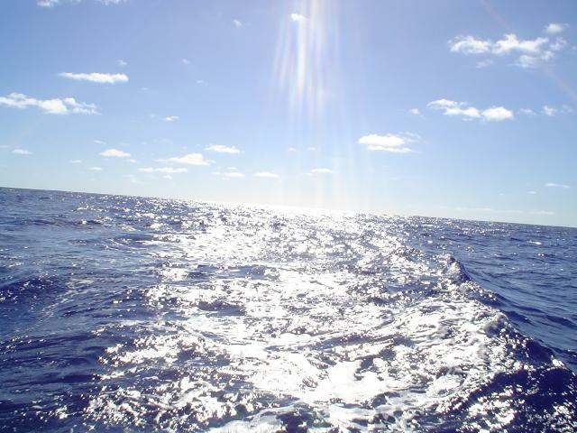 DSC06932
