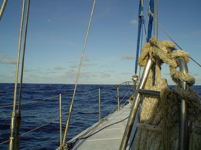 DSC06937