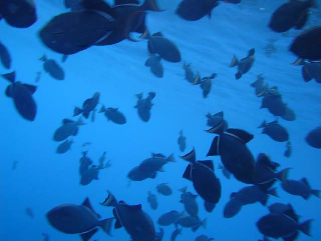 DSC06986