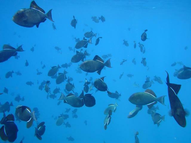 DSC06999