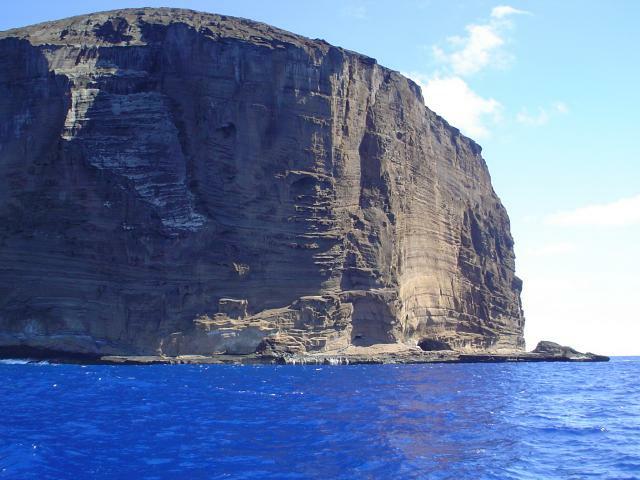 DSC07056