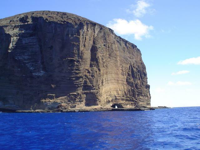DSC07058