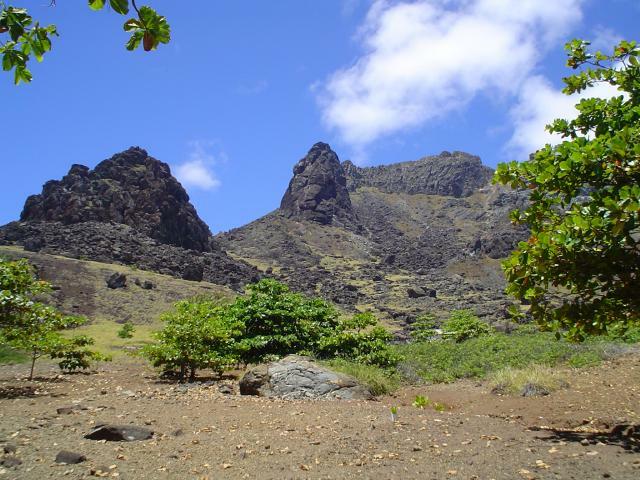 DSC07100