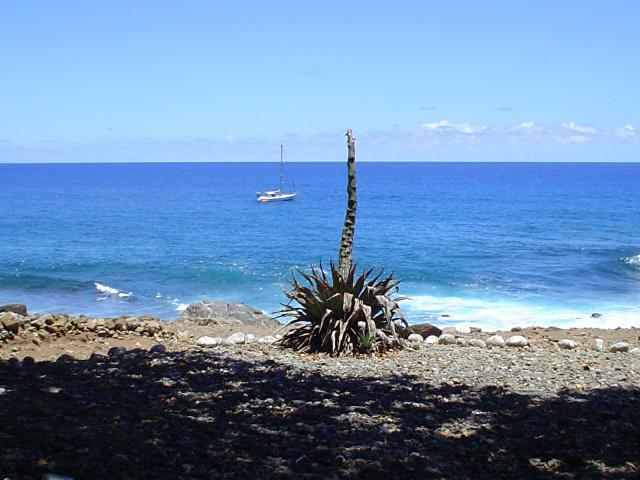 DSC07104