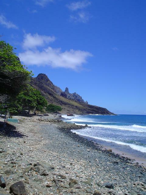 DSC07106