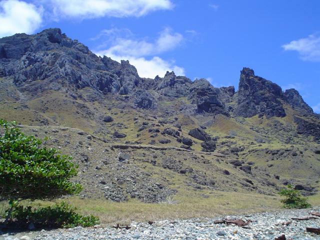 DSC07120